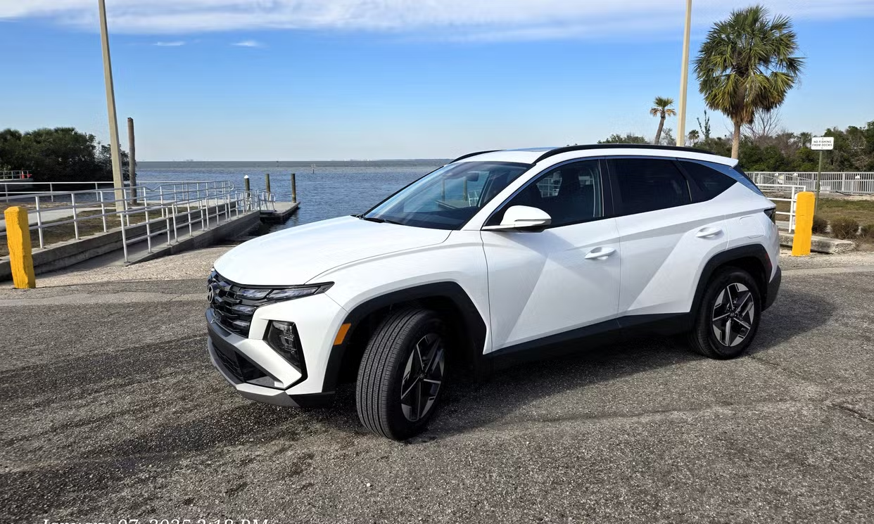 A white SUV parked near the water at a seaside location with palm trees in the background.