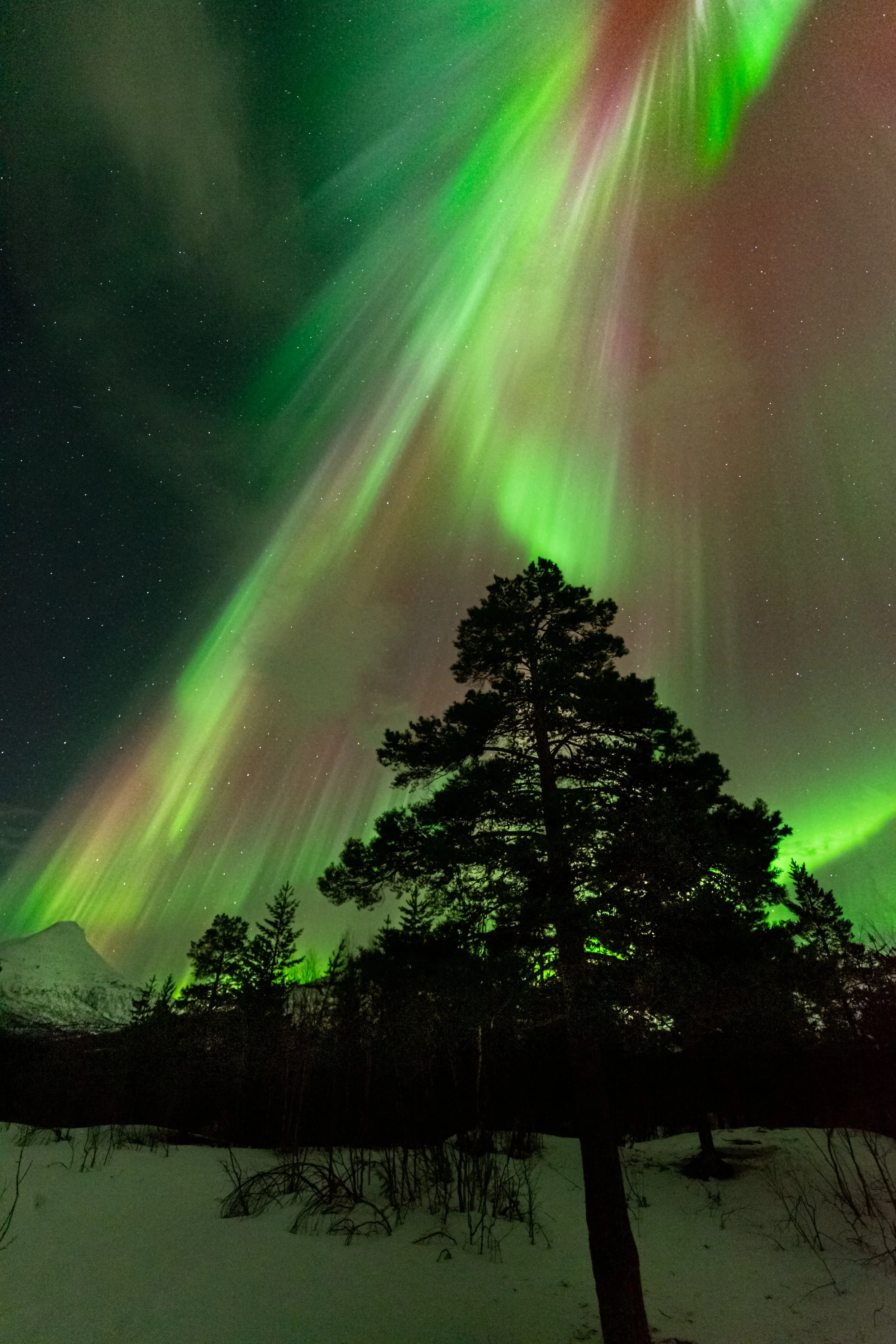 The Aurora over Norway.