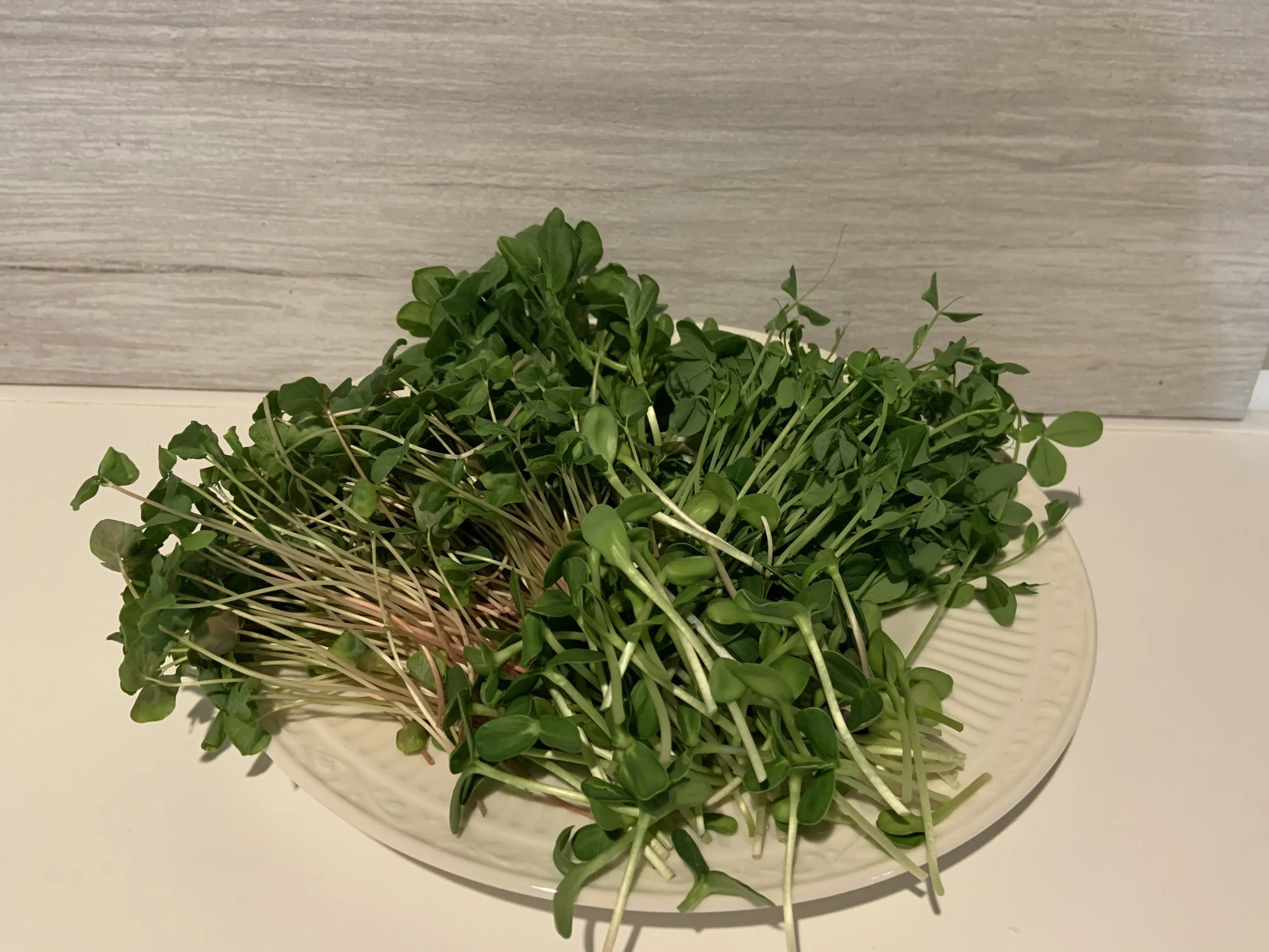Protein Power Micro Salad Mix