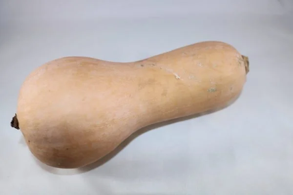 Butternut Squash