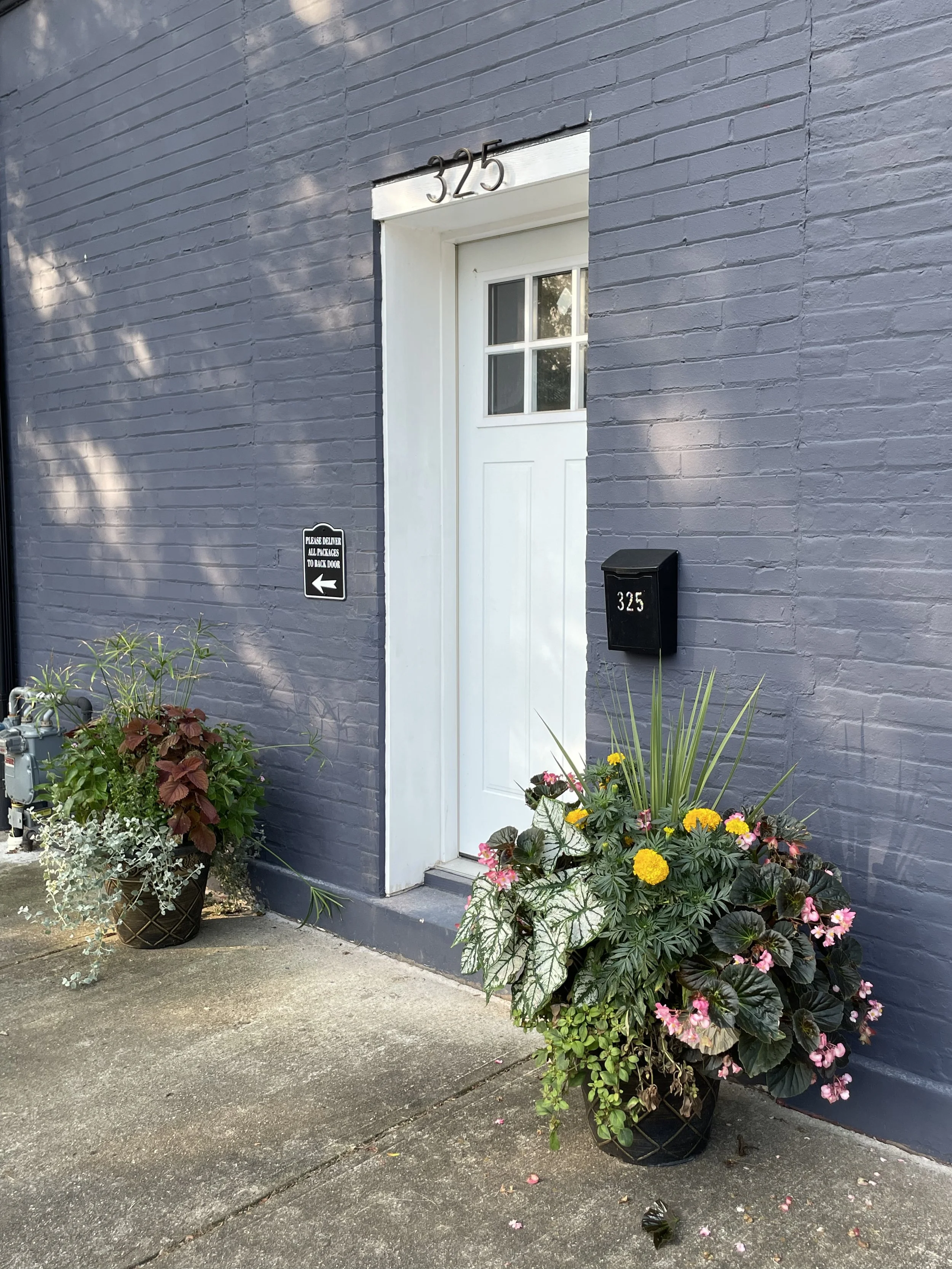 July 2025 Exteriors IMG 3992.jpeg