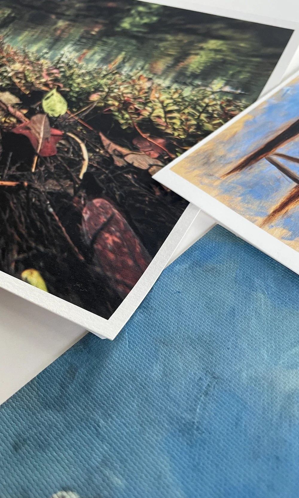 Close-up of printed photographs on various surfaces, showing different textures including canvas and smooth and textured cotton rag papers. Various nature scenes and a still life painting are depicted.