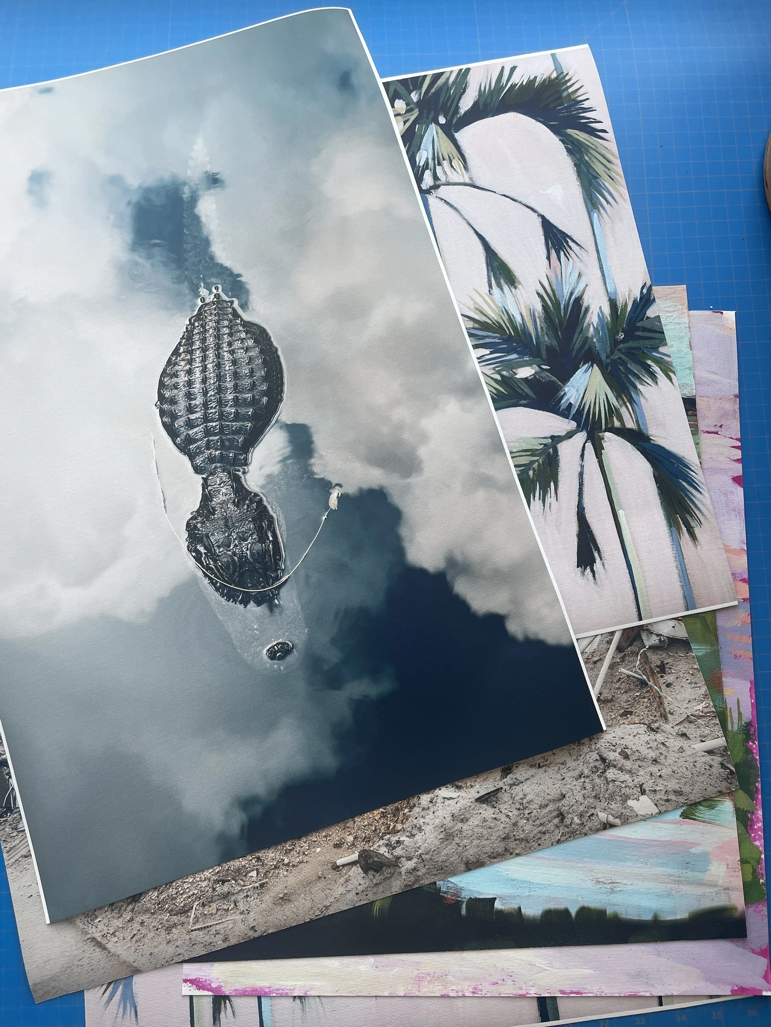 Stack of canvas prints, including a photograph of an alligator with a cloudy sky reflection, and other images of palm trees and nature scenes.