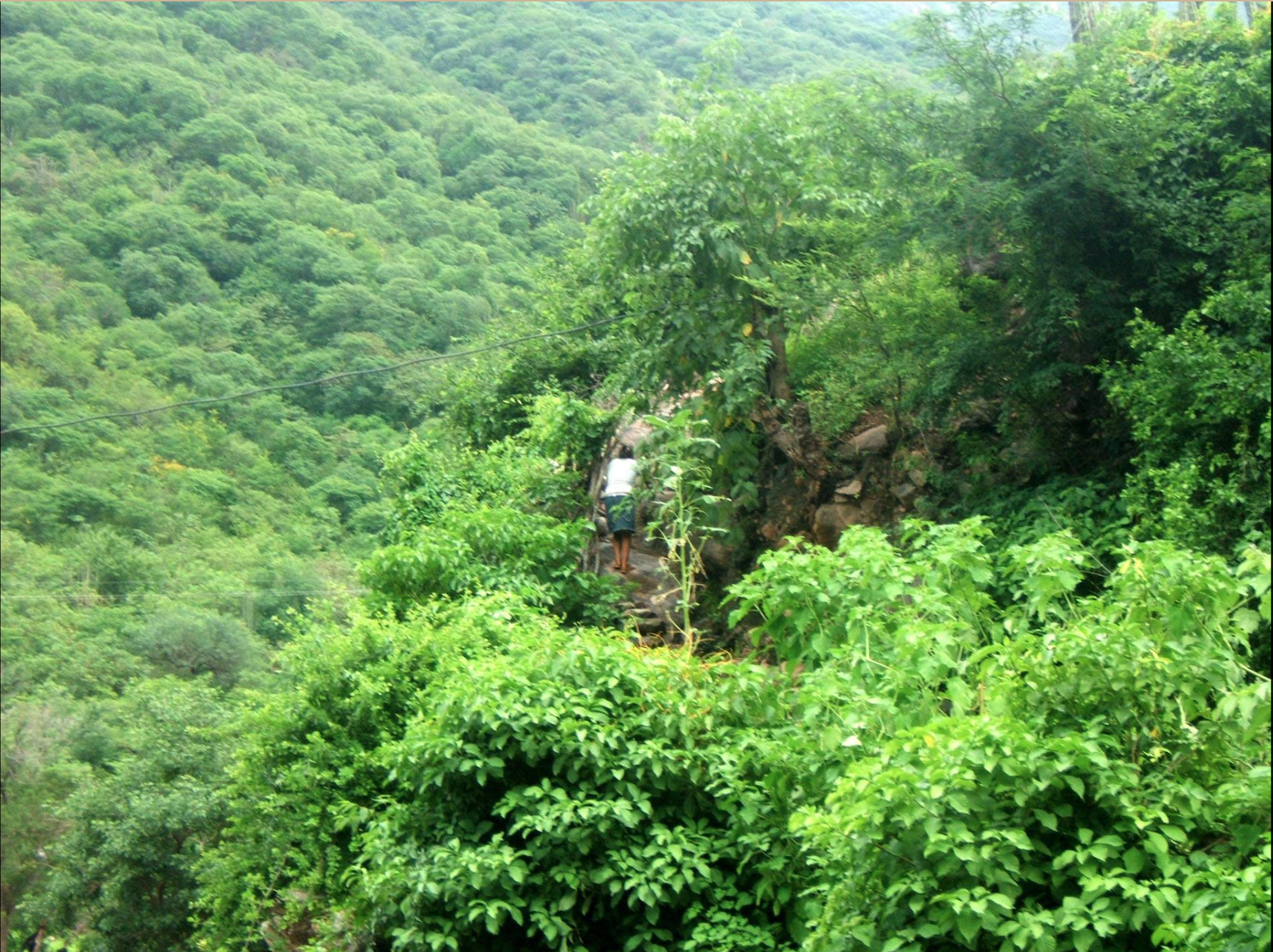 Screen Shot 2023-08-18 at 12.29.40 PM.png