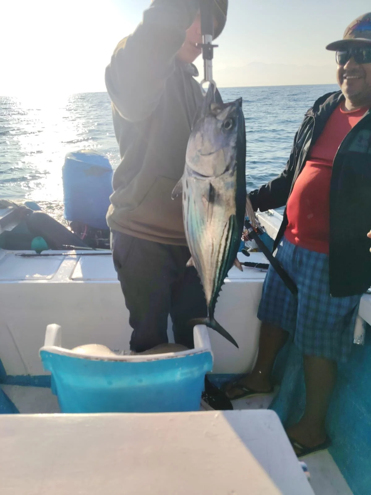 WhatsApp Image 2026-03-27 at 2.45.35 PM(2).jpeg