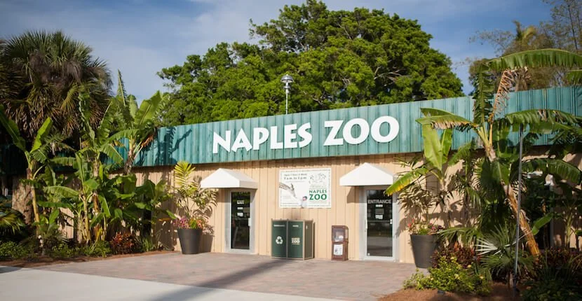 Zoo 5.jpg