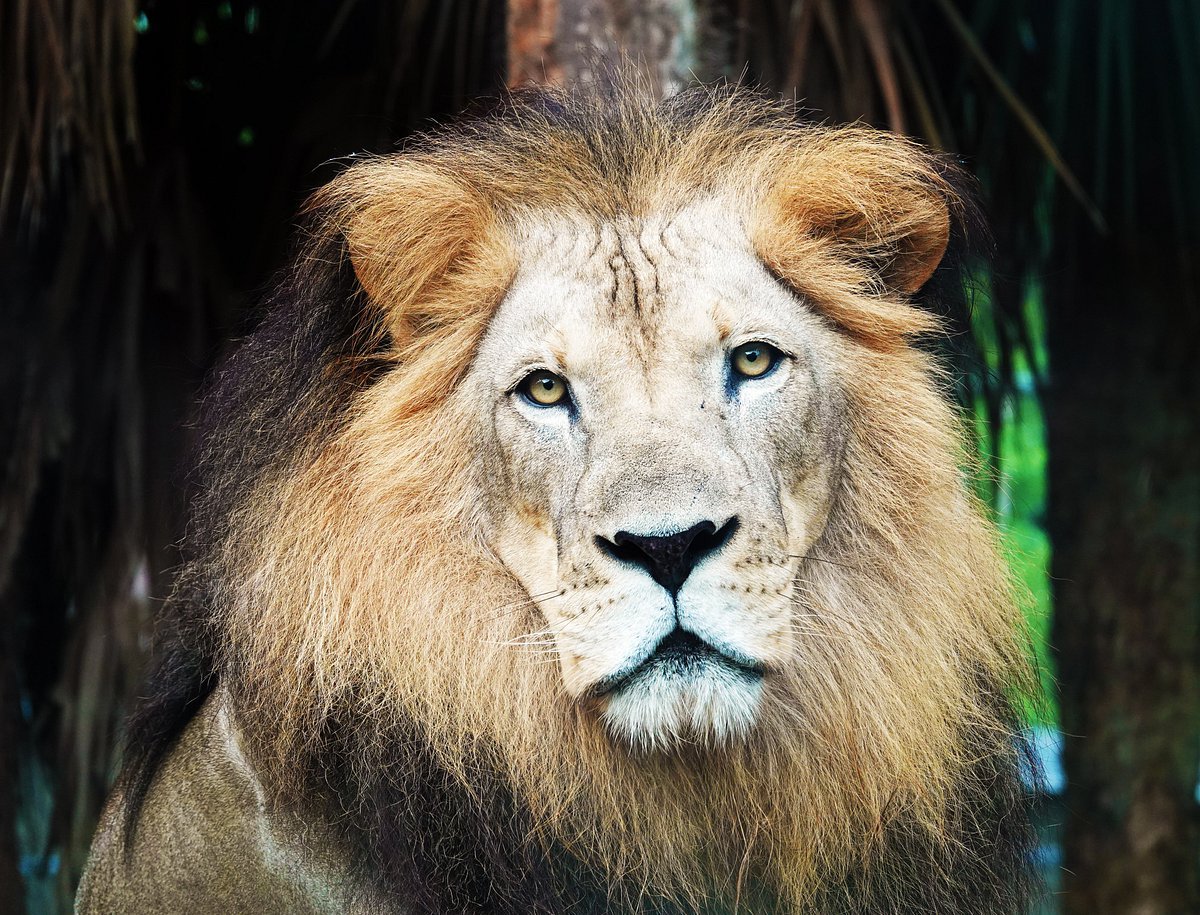 Zoo 3.jpg
