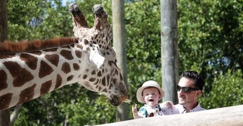 Zoo 2.jpg