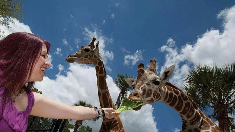 Zoo 1.jpg
