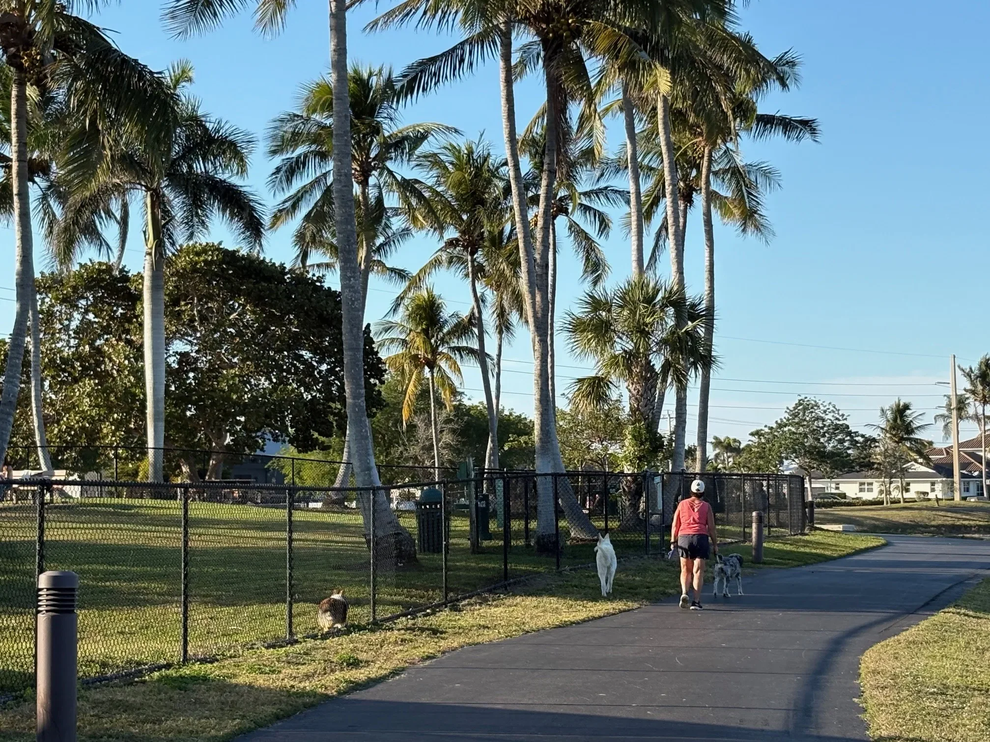 Mackle Park 8.webp