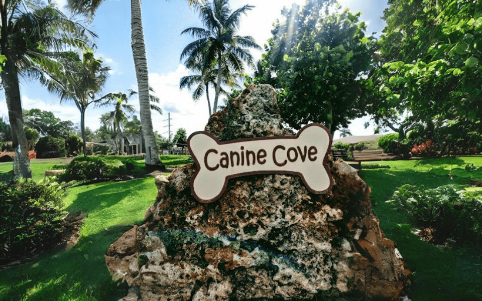 Canine Cove 6.png