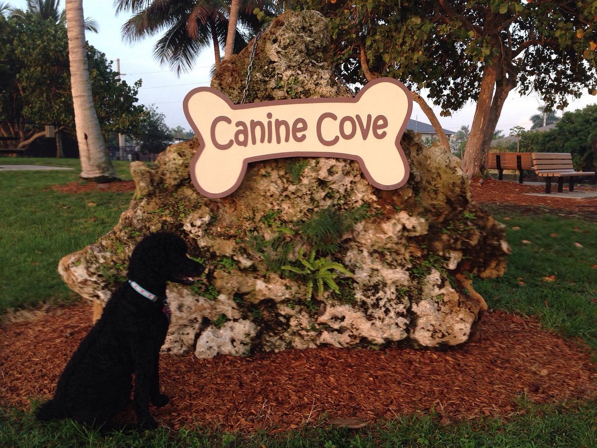 Canine Cove 5.jpg