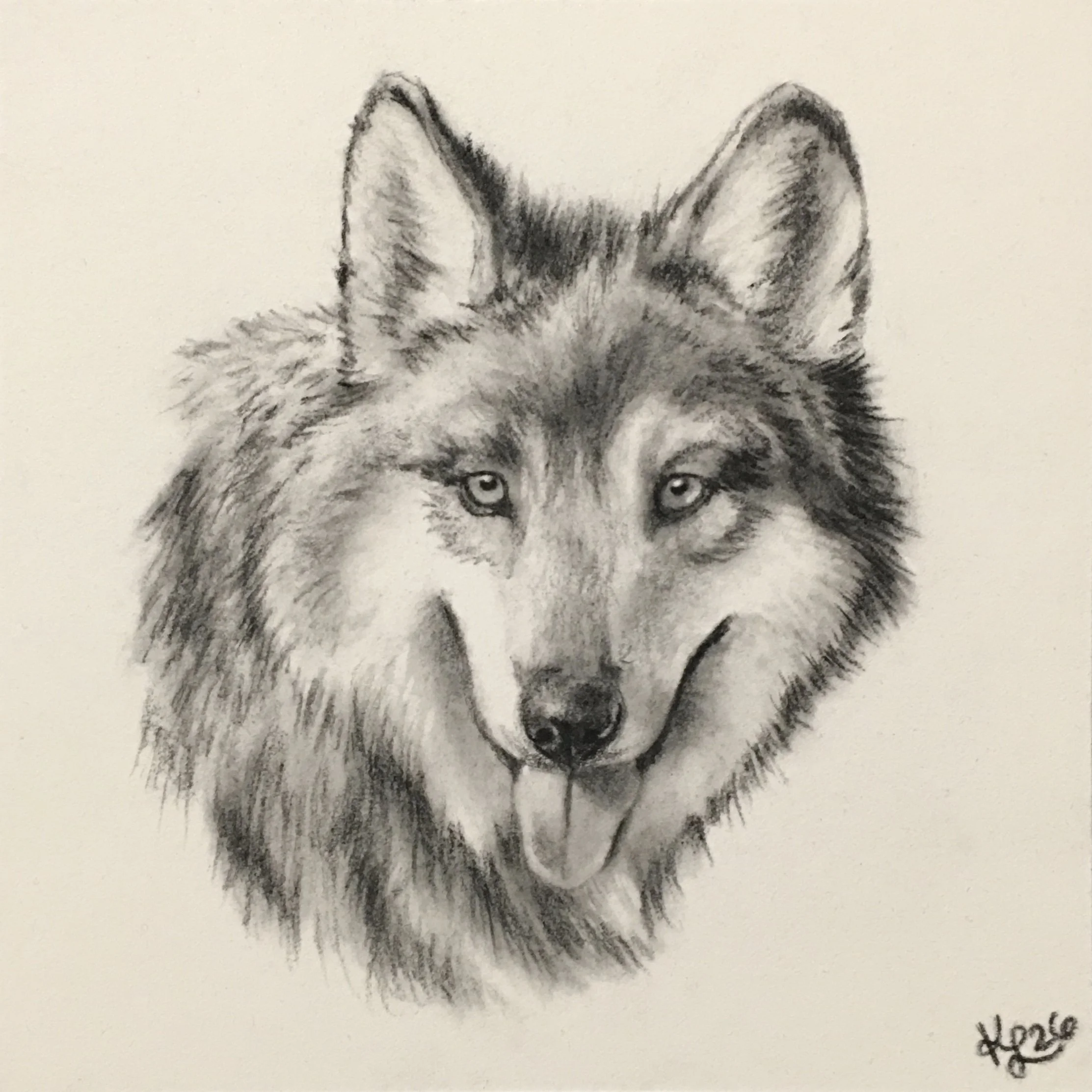 El Lobo.JPG