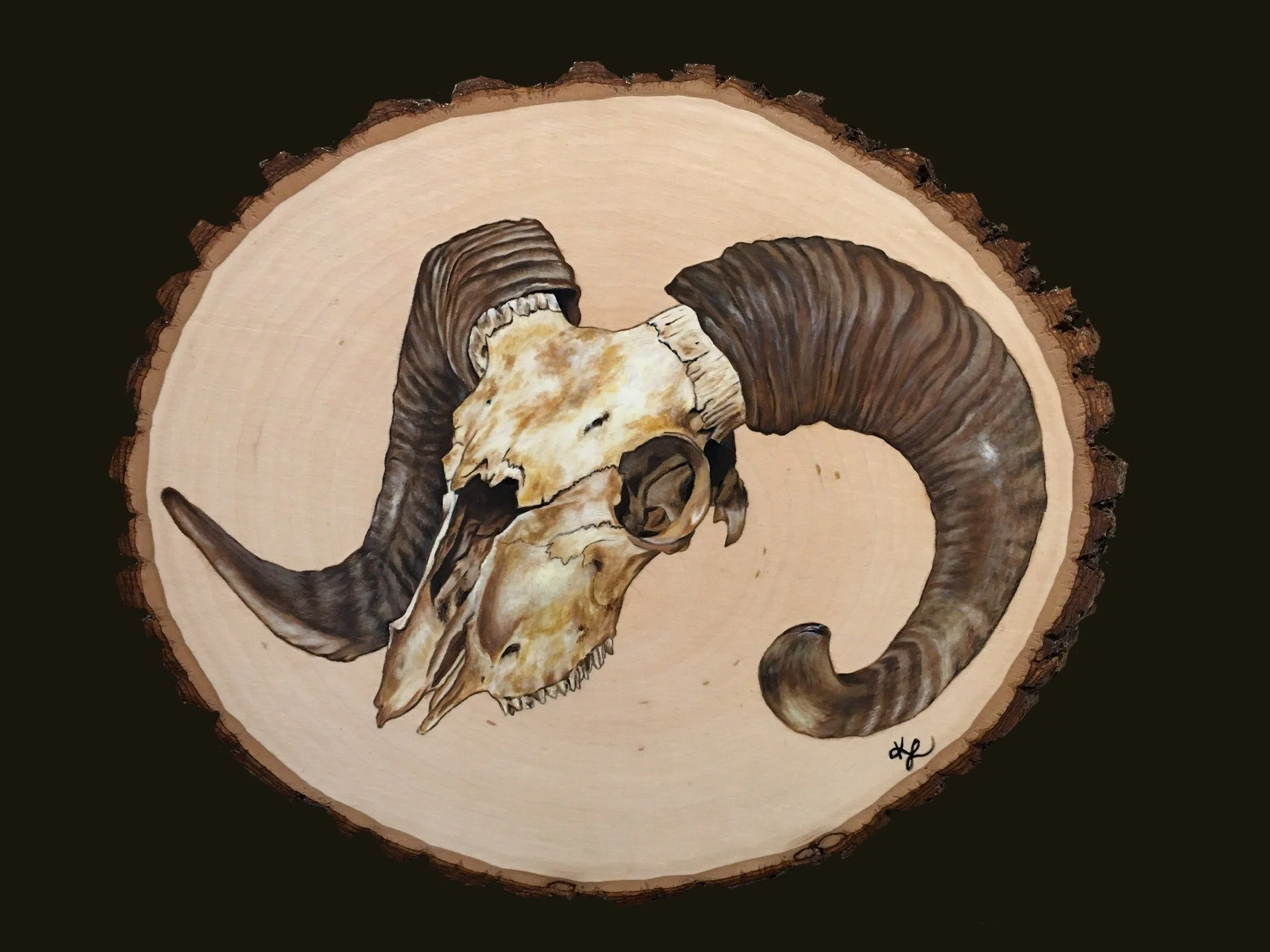 Bighorn Ram Evidence, 2024