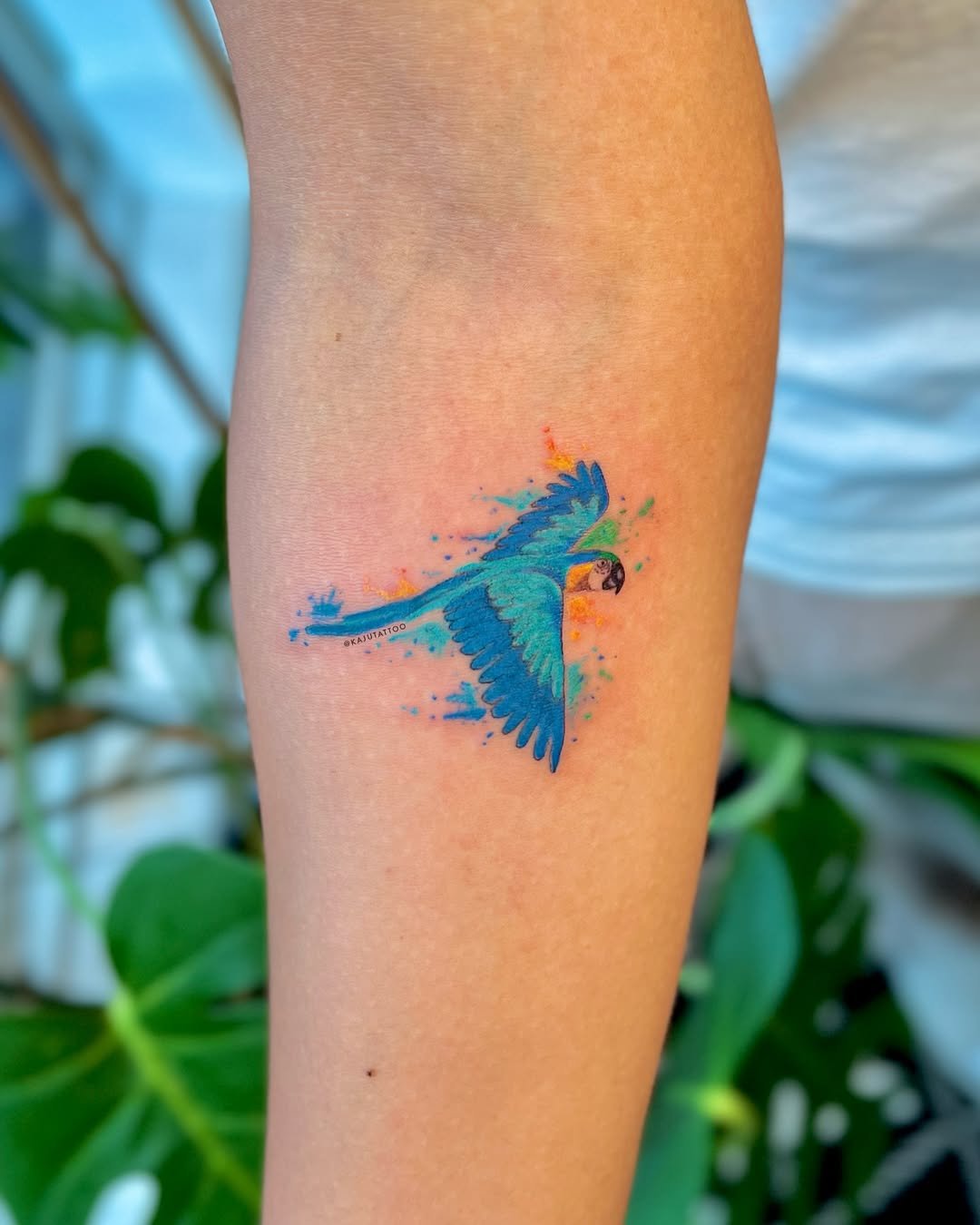 Tatuagem de um papagaio azul com detalhes verdes, amarelos e pretos, em voo, com um fundo de respingos de tinta colorida