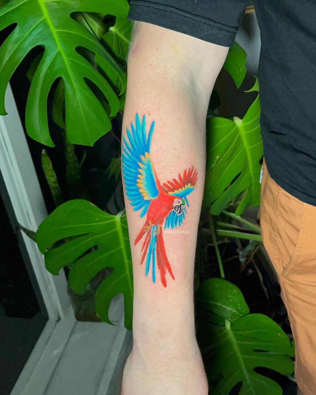 Tatuagem de uma arara colorida na perna de uma pessoa, com detalhes em vermelho, azul e amarelo, sobre uma planta verde.