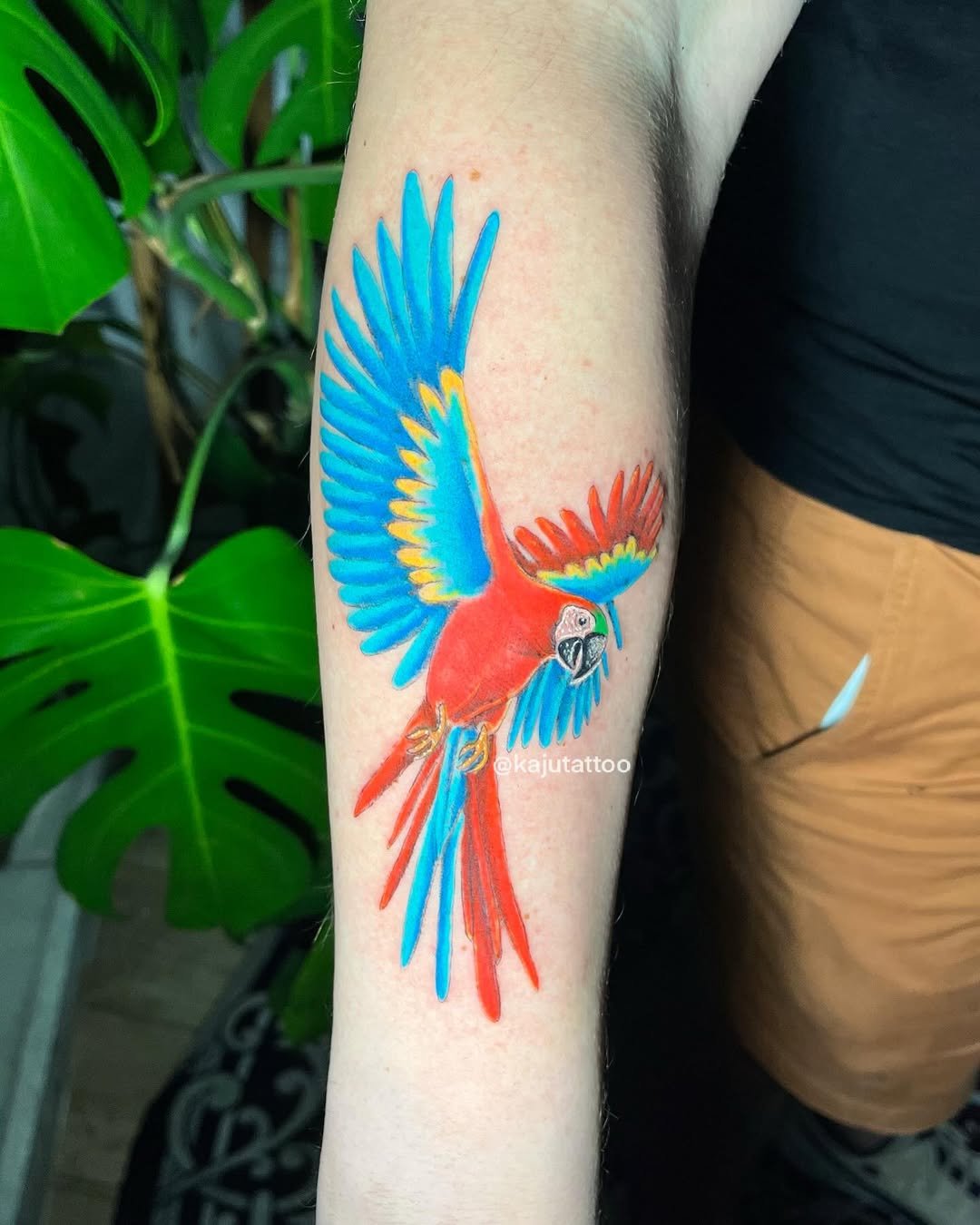 Tattoo de um tucano colorido com penas azul, vermelha, amarela e verde no braço de uma pessoa.