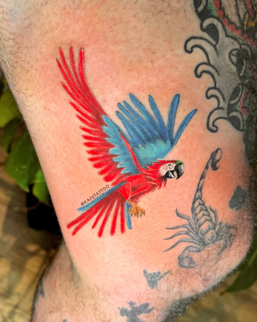 Tatuagem de uma arara colorida com asas abertas, azul e vermelha, em uma perna. Outras tatuagens em preto e cinza de uma escorpião, uma borboleta e detalhes decorativos.