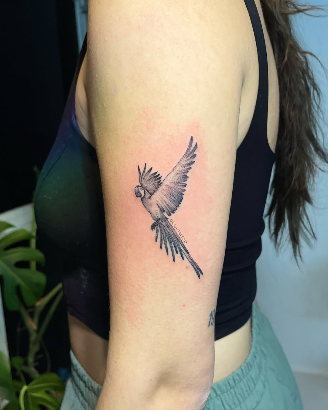 Tattoo de um papagaio em asa, localizado no braço de uma mulher.