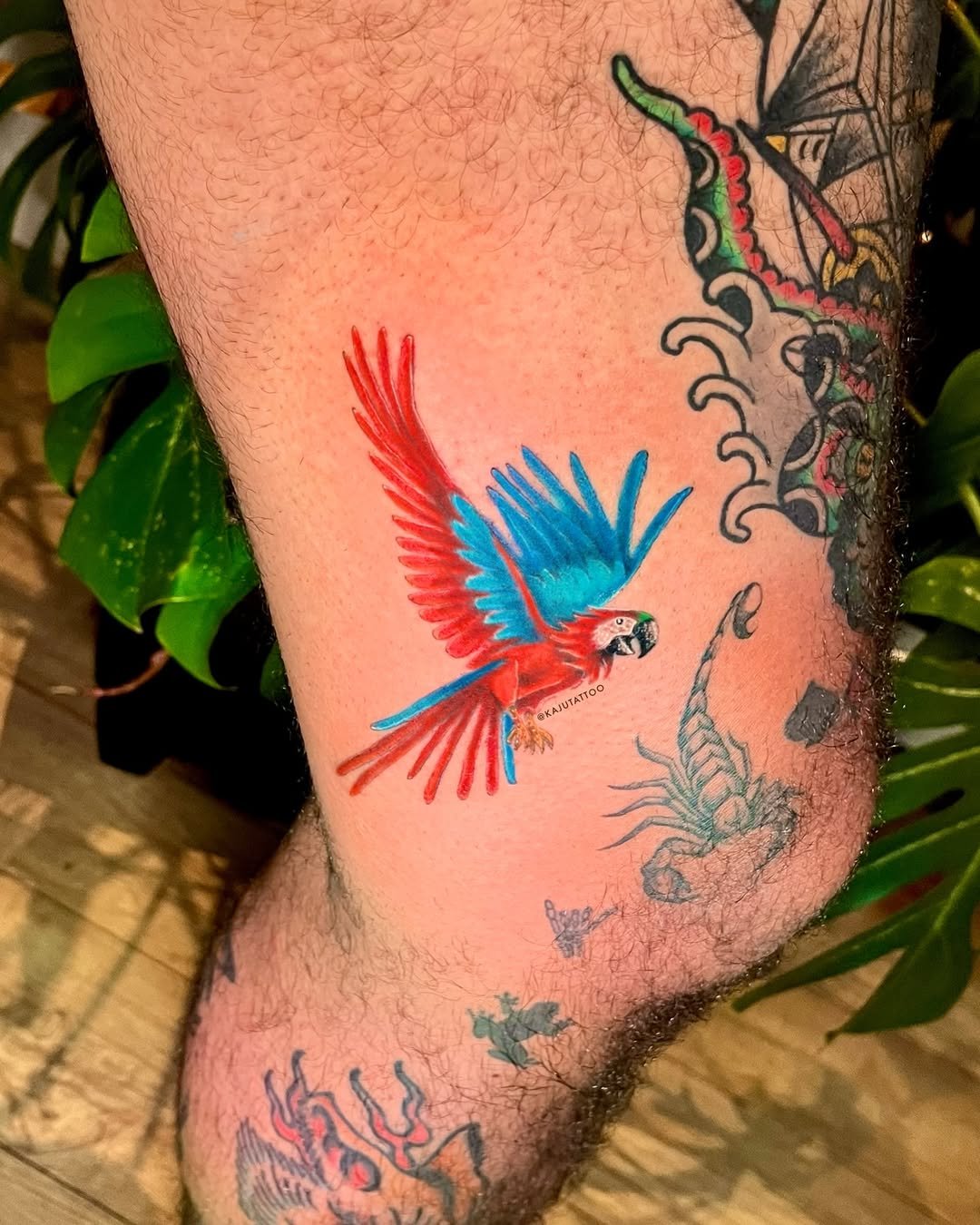 Tattoo de um papagaio colorido, com penas vermelhas, azuis e verdes, no braço de uma pessoa, ao lado de outros desenhos de tatuagem em escala de cinza.