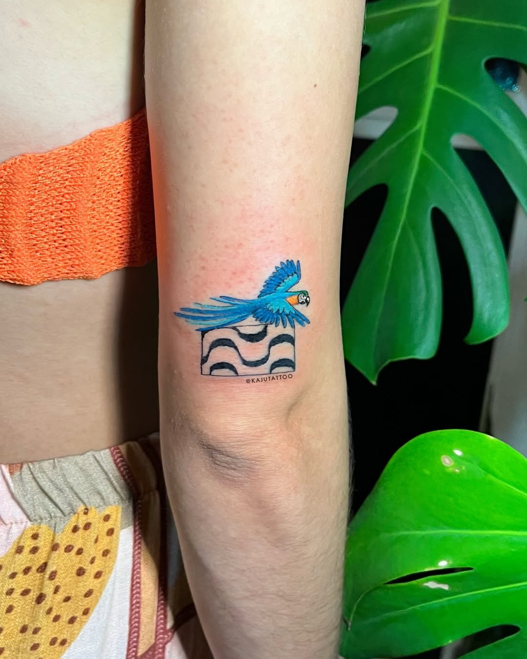 Tatuagem de um arara azul pousada sobre uma caixa com padrão preto e branco, com fundo de planta verde.