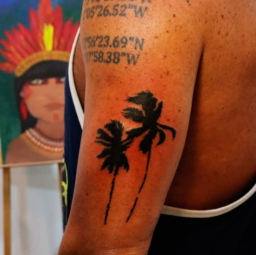 palm878869.png