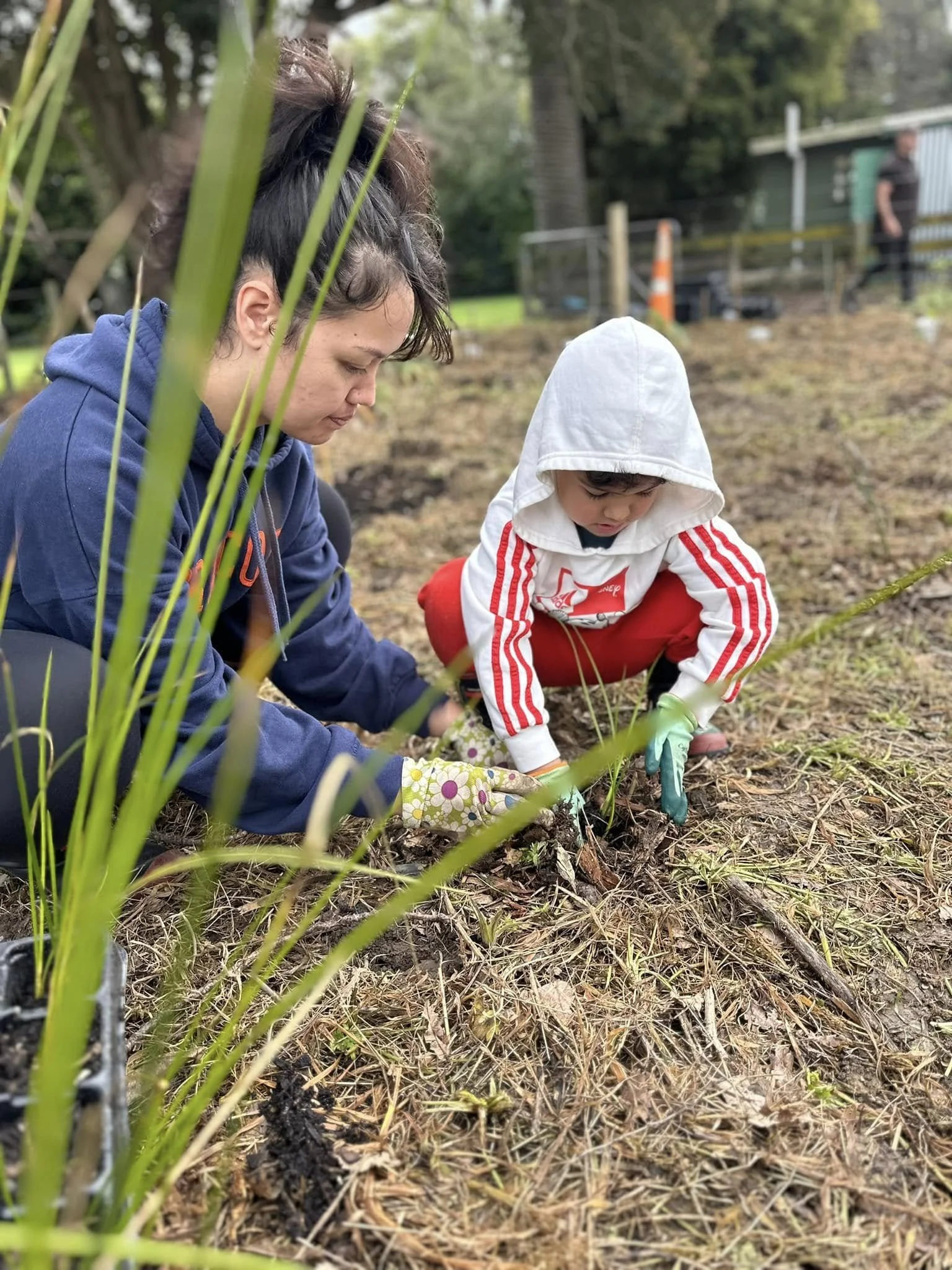 An adult and a child from the Te Roopu Hokowhitu are planting a seedling for their local Marae.
