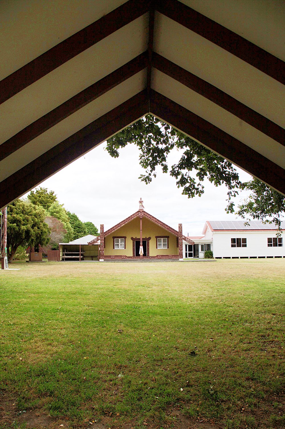 Parewahawaha - Bulls