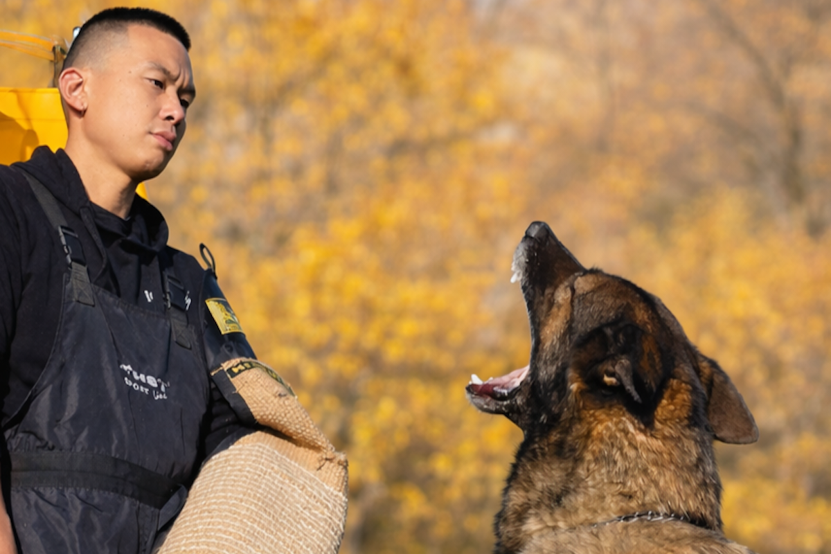 Four Legs, One Purpose: Inside The World Of IGP