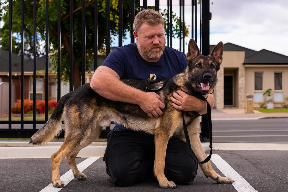 The Alpha Myth: Why Dogs Don’t             Follow Egos