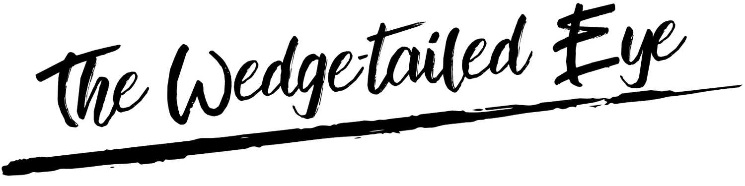 The Wedge-tailed Eye