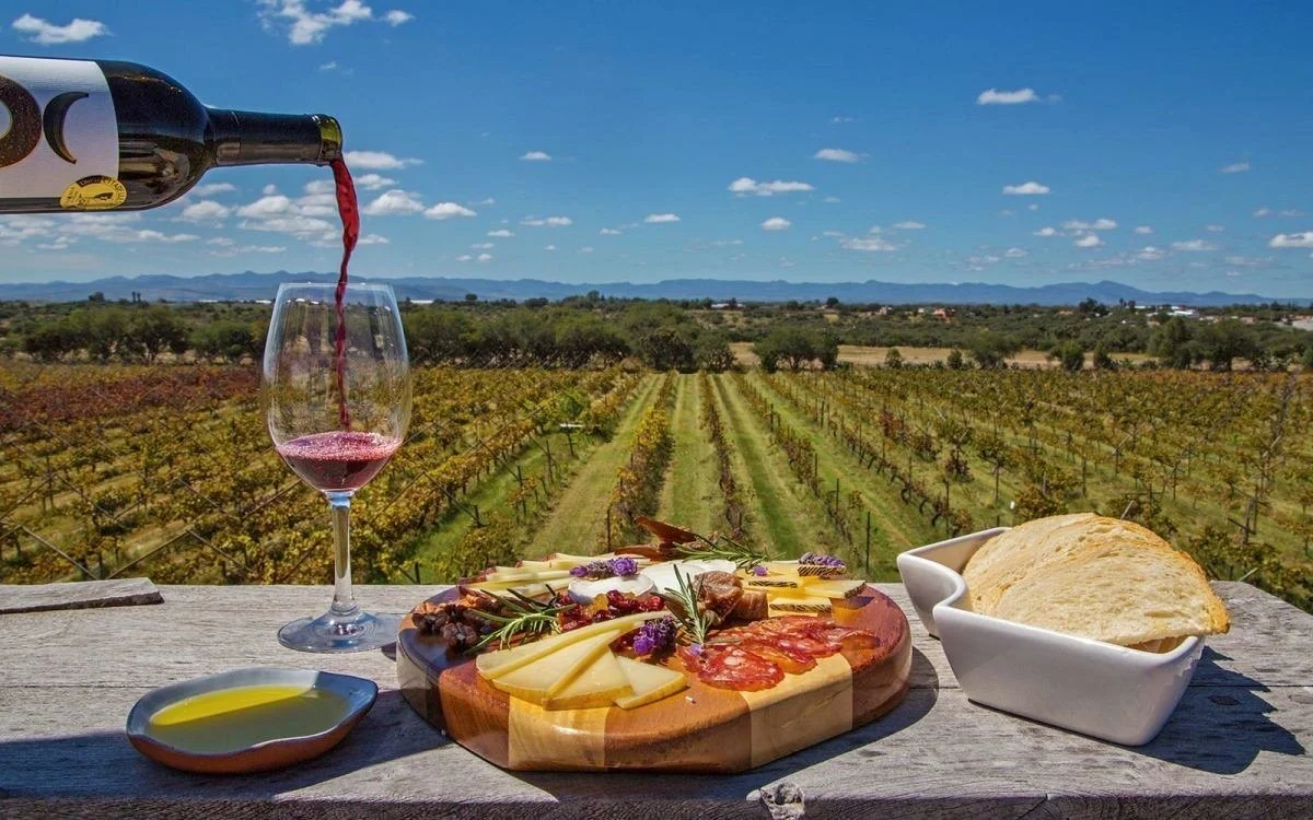 Guanajuato: El Ecosistema Enoturístico que Está Redefiniendo el Romance en México