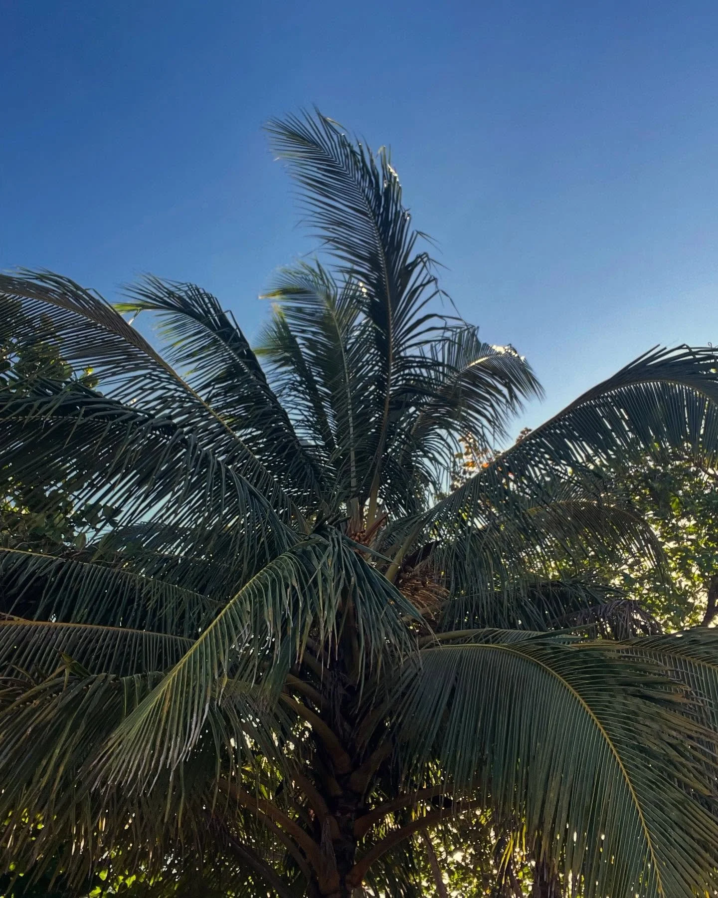 Good morning from the beautiful Caribbean side of Costa Rica! 
Where the sun is shining and the weather is sweet, makes you wanna move your dancing feet! 

Buenos d&iacute;as del hermoso Caribe Sur de Costa Rica! 
Donde brilla el sol y el clima es du