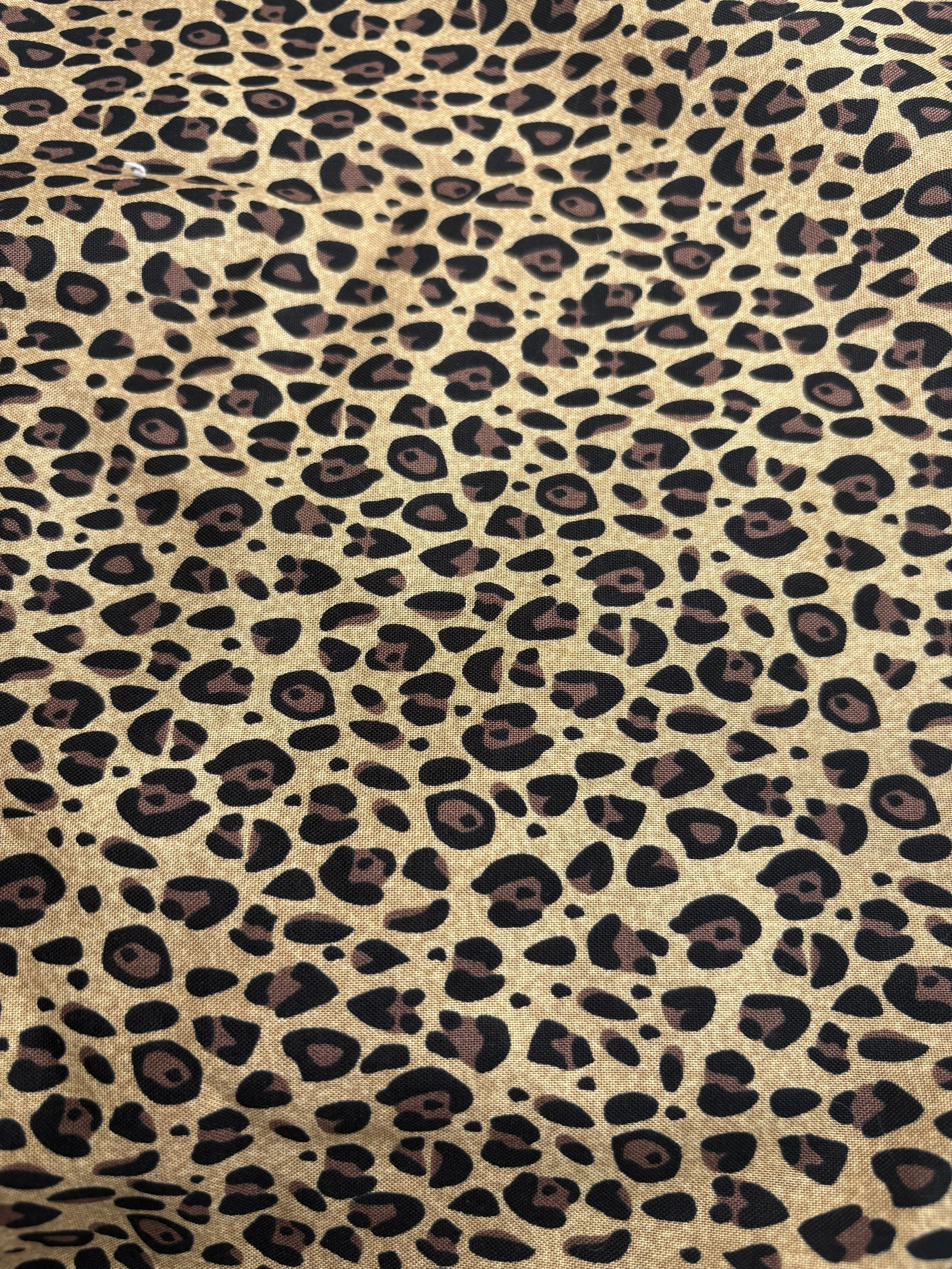 Cheetah Print
