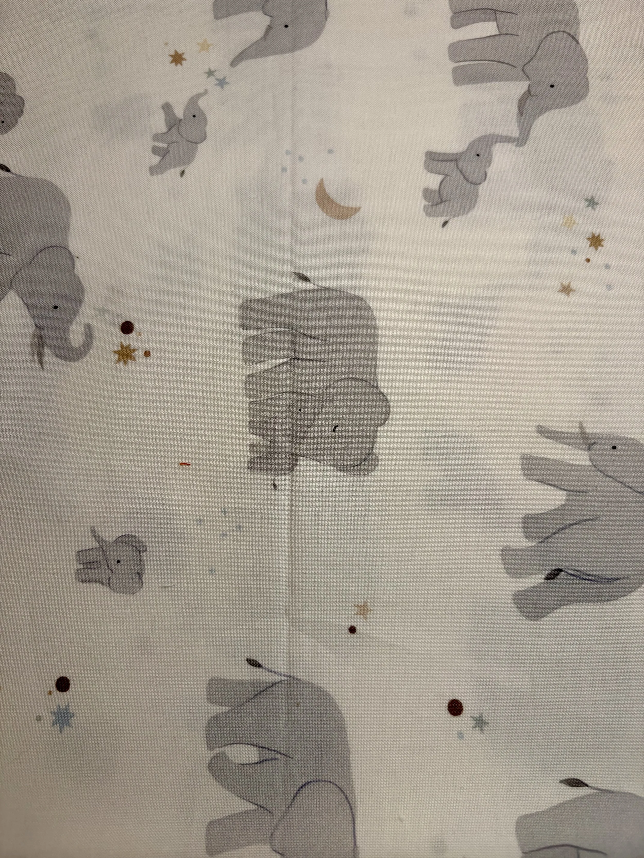Elephants 