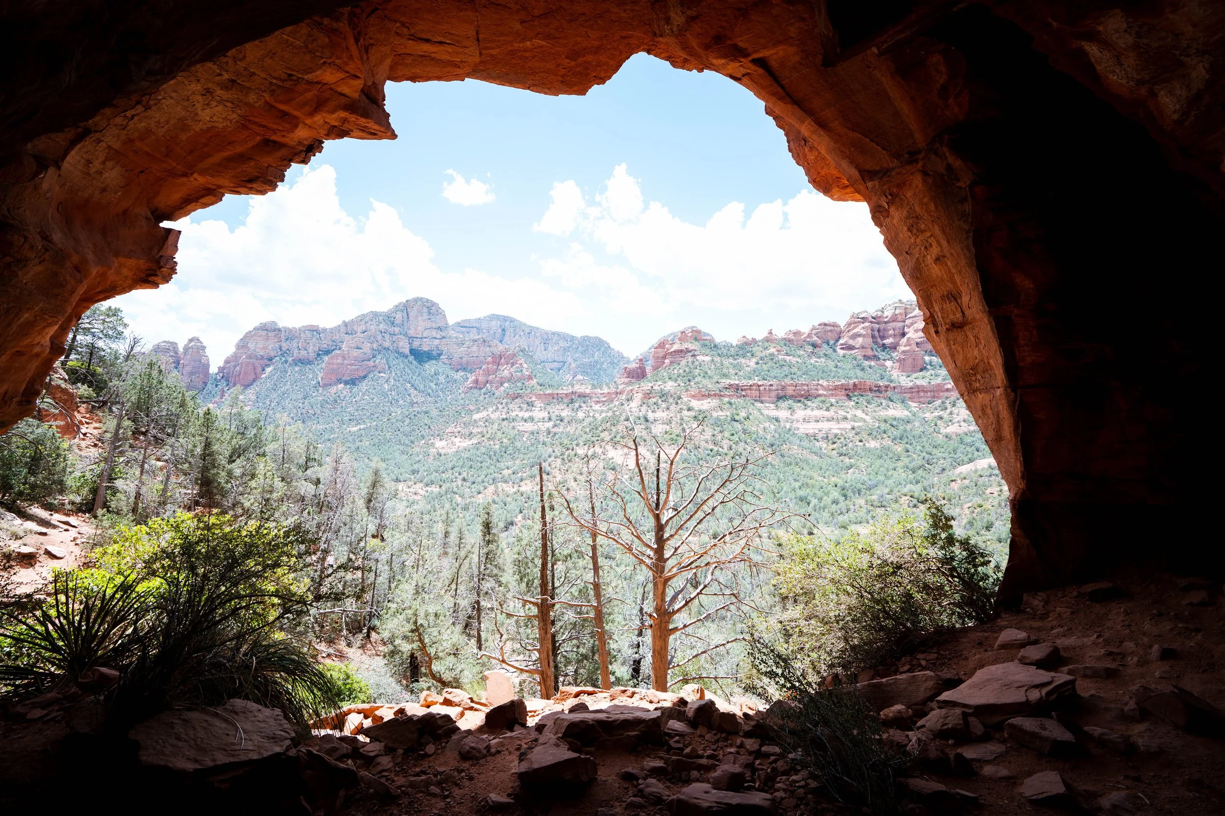 Arizona