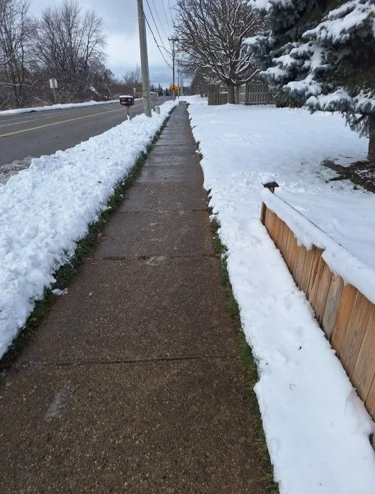 Sidewalk cleared of snow, with snow-covered grass and trees on either side, alongside a residential street in winter.