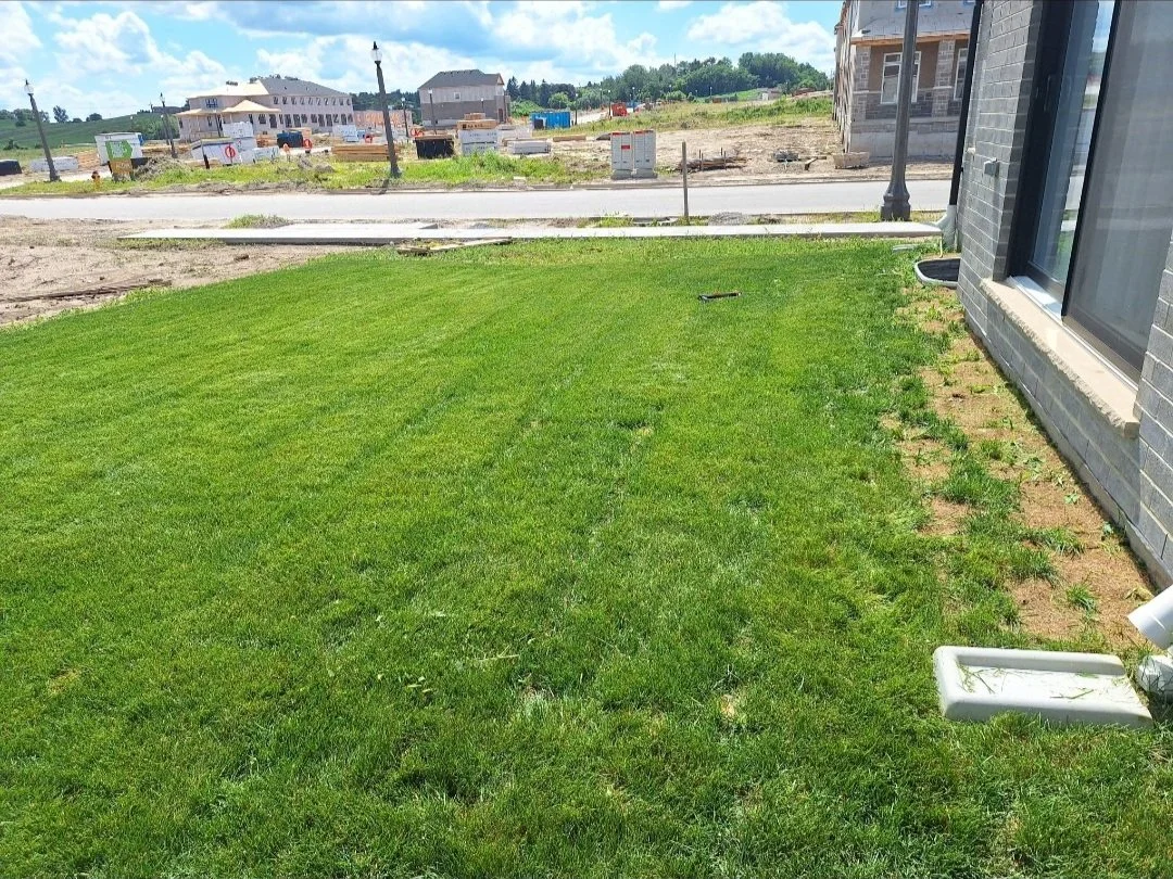 A freshly laid green lawn in front of a house with a brick exterior, adjacent to a sidewalk and city street under a partly cloudy sky.