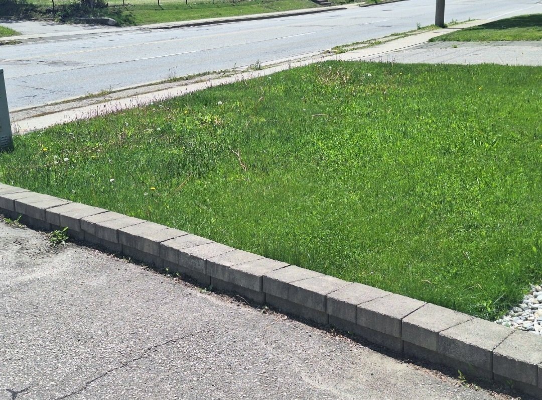 A grassy lawn bordered by a row of concrete bricks, with a sidewalk and street in the background.