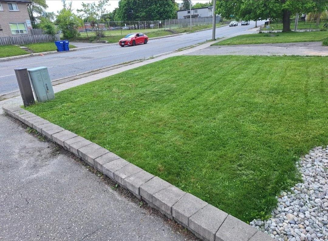 A freshly mowed grass lawn surrounded by a brick border, with two utility boxes on the left, a sidewalk, and a street with parked and moving cars in the background.