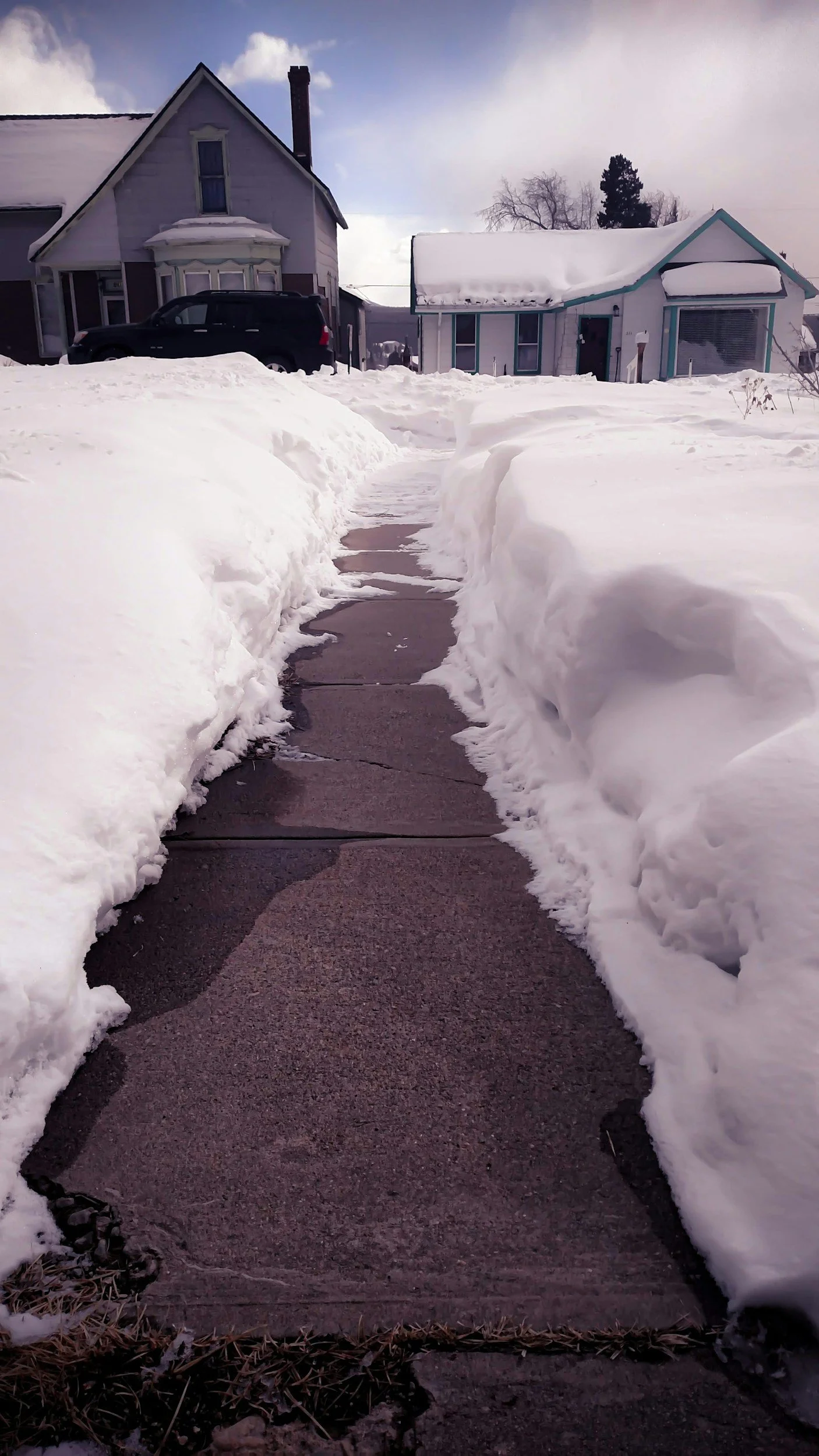 Snow-covered sidewalk beside a street with parked cars and trees in winter.