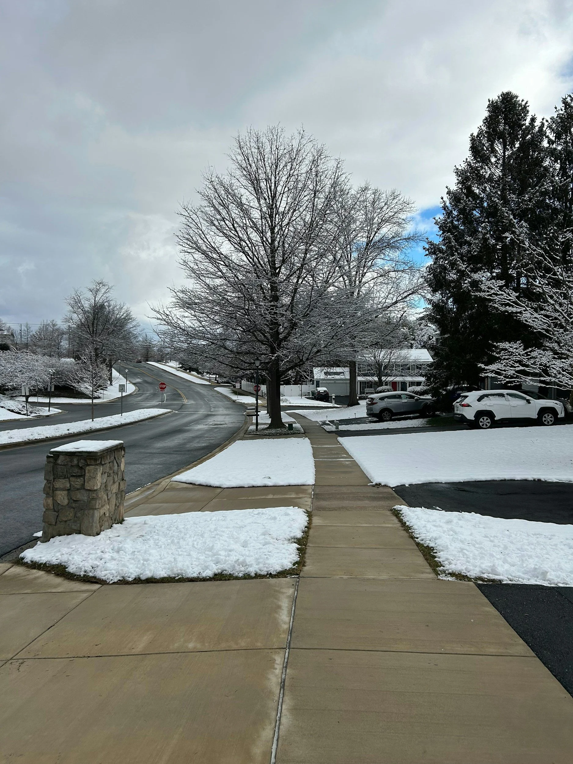Snow-covered sidewalk with trees, parked cars, and a winding road in a residential neighborhood during winter.