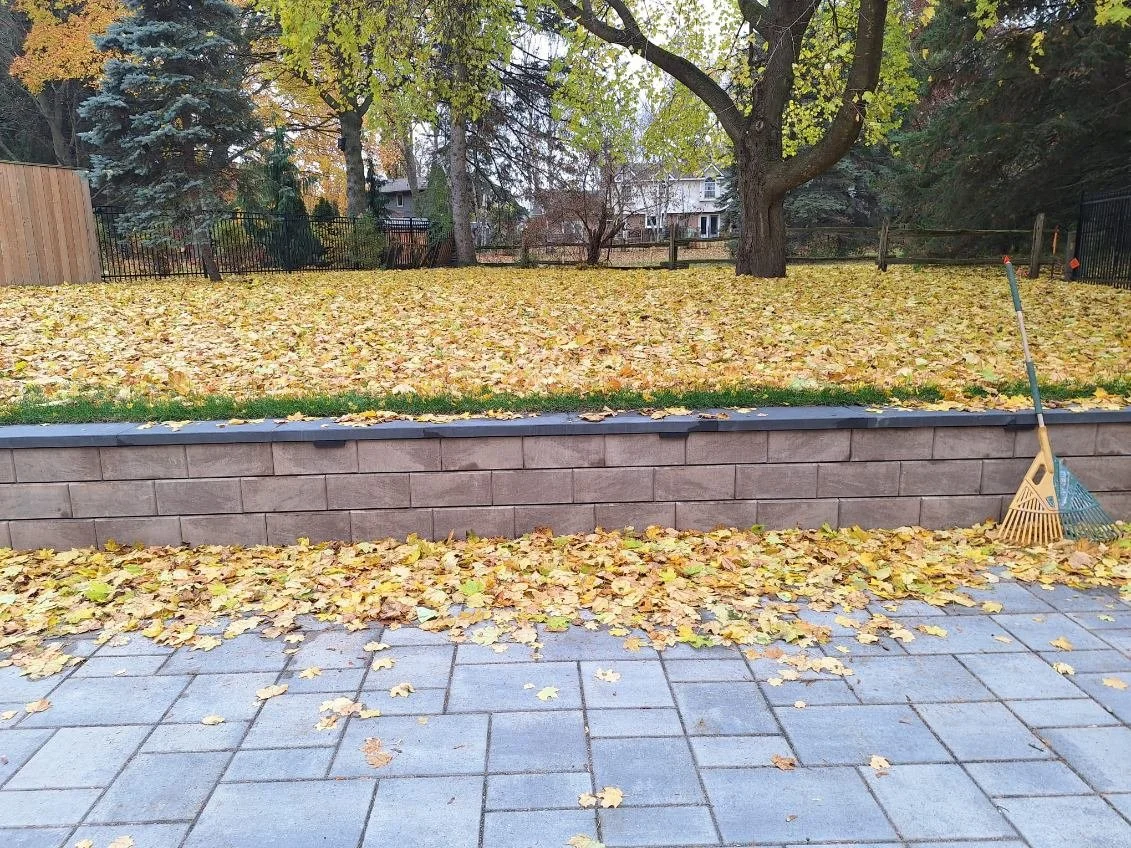 Backyard with a patio, stone wall, and lawn covered in fallen yellow leaves, with trees and houses in the background and a rake leaning against the wall.