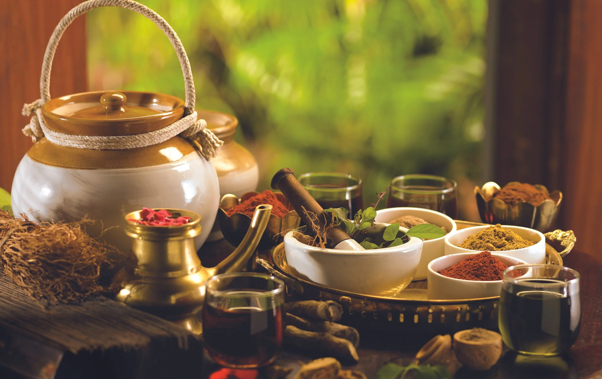 Ayurvedic Consultation