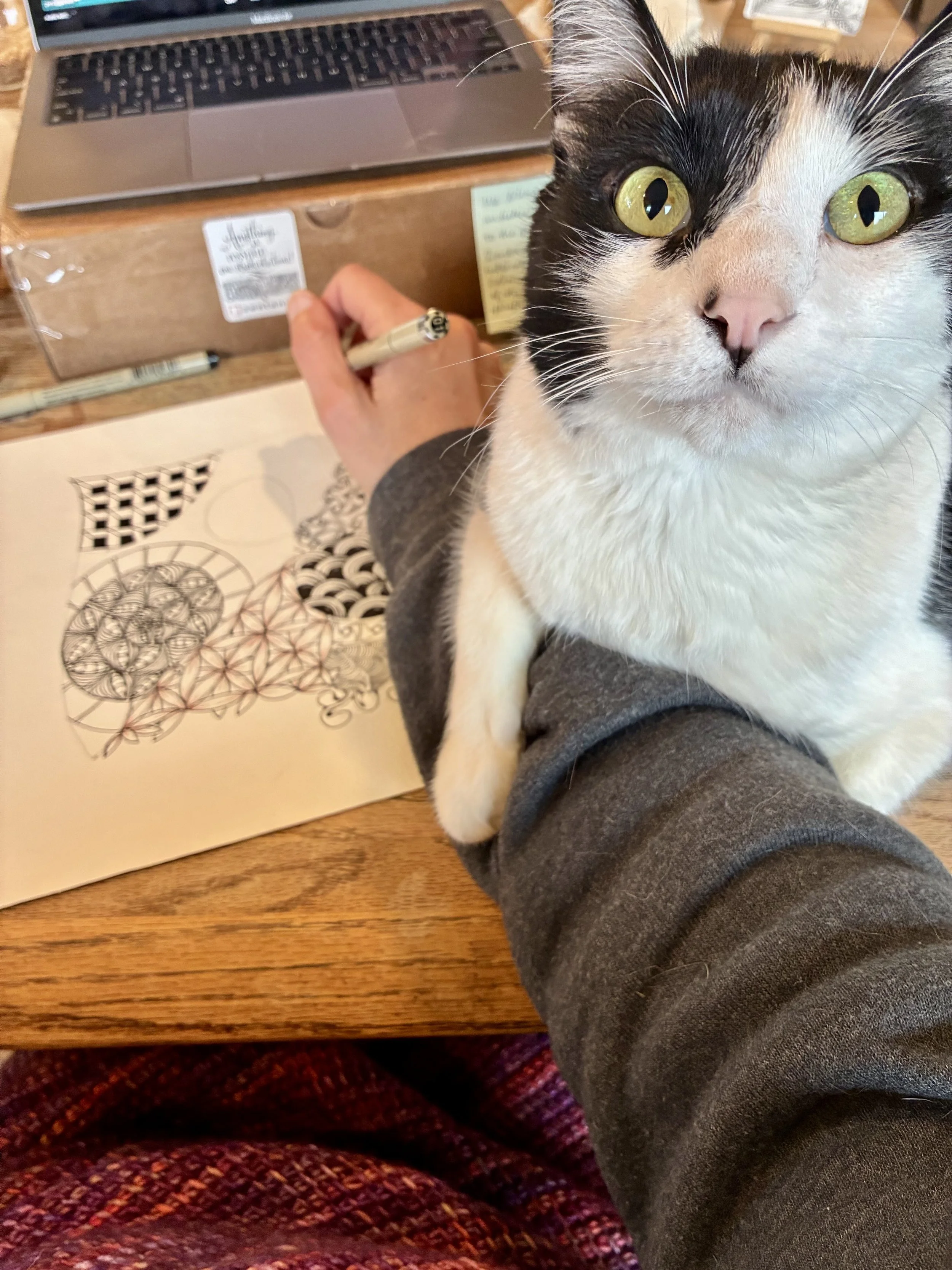 One Stroke at a Time: An Introduction to the Zentangle® Method