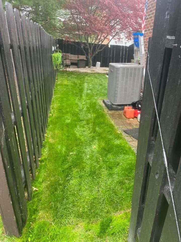 Sod installation 