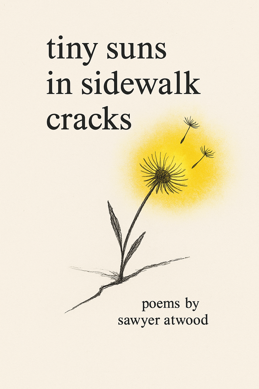 Book cover for "tiny suns in sidewalk cracks" by Sawyer Atwood