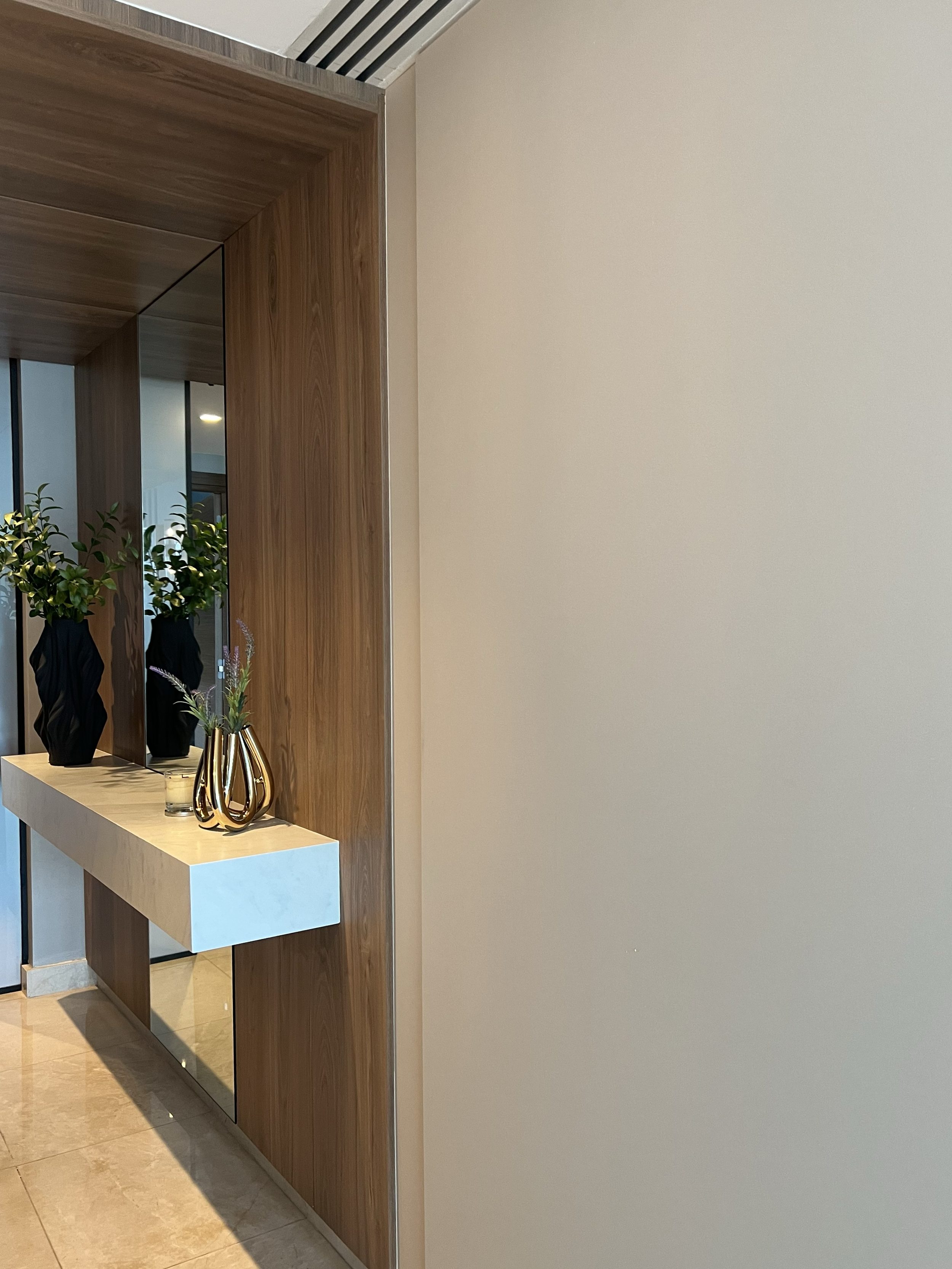 Vitrinas con plantas decorativas y espejos en una pared de diseño moderno y elegante en un interior.