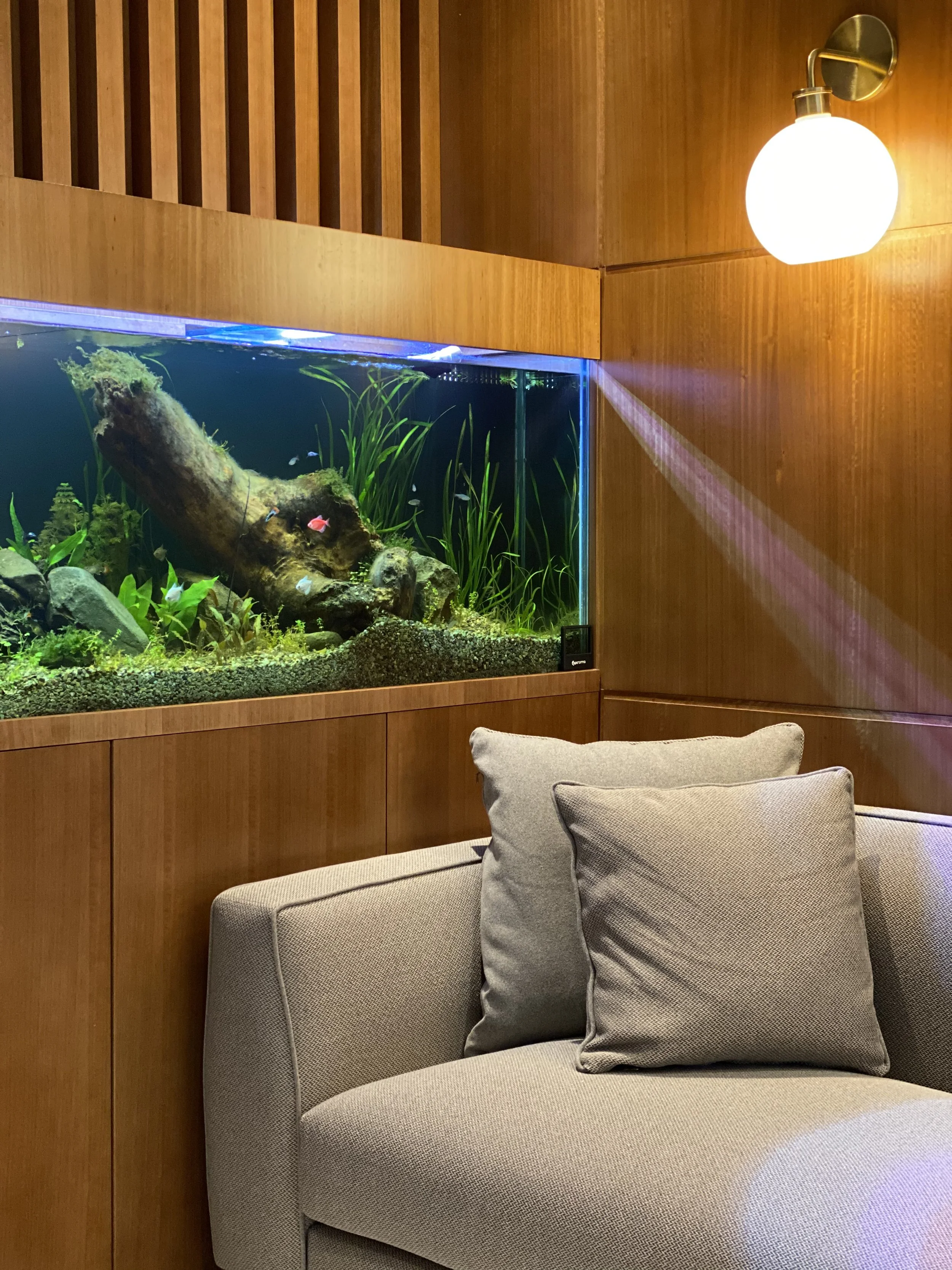 Salón con acuario de madera, decorado con plantas acuáticas y madera sumergida, y sillón claro con cojines, iluminación suave