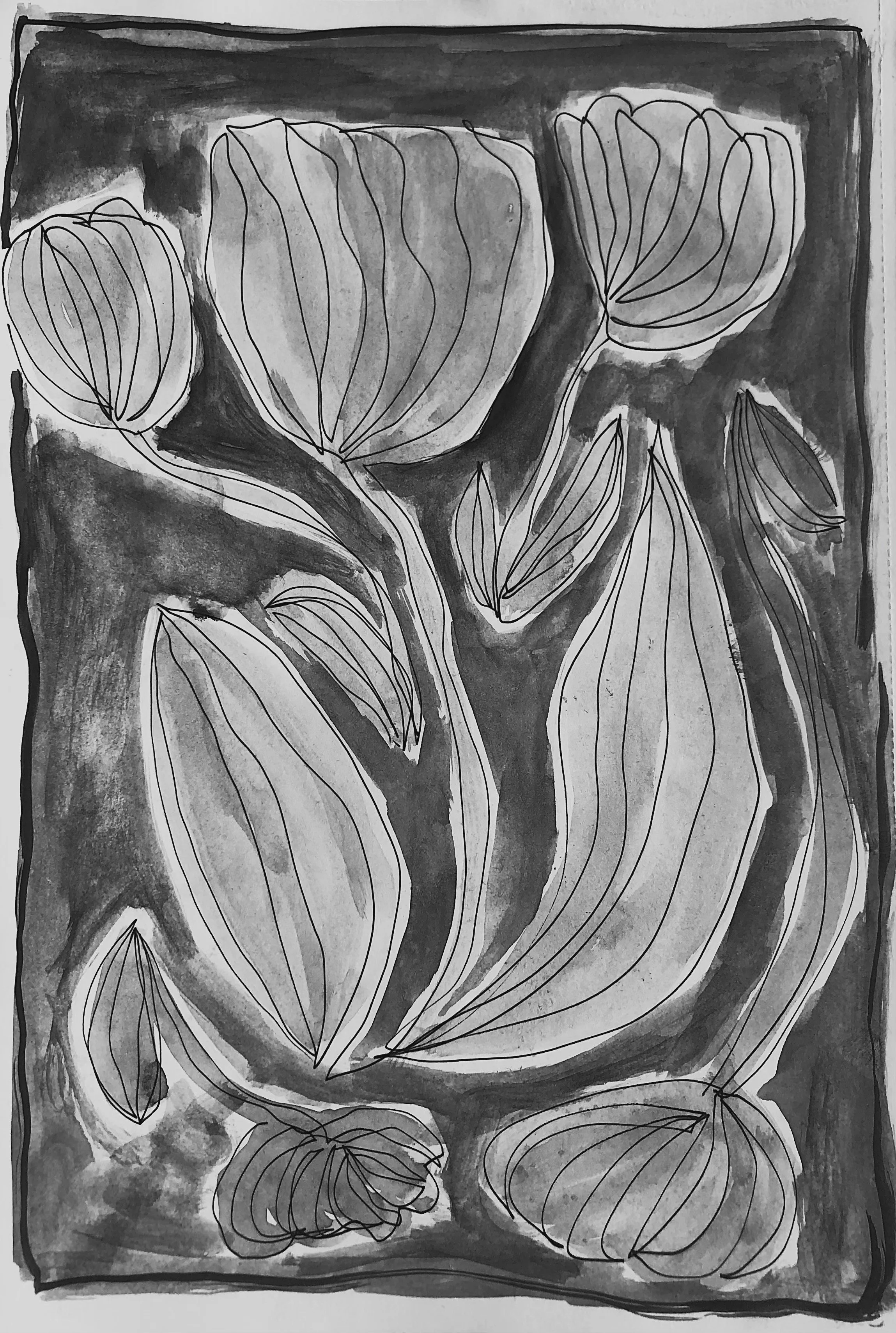 Black and white sketch of a flower with large leaves and buds.